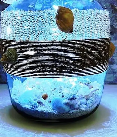 アパート Casa El Canario コスタ・テギセ