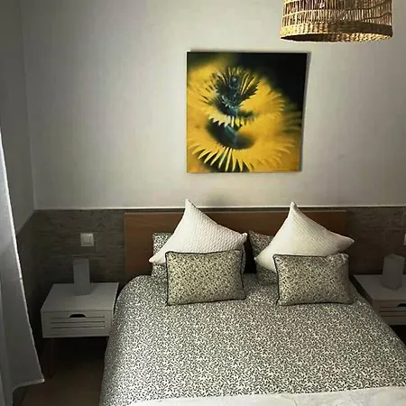 Casa El Canario Apartment *